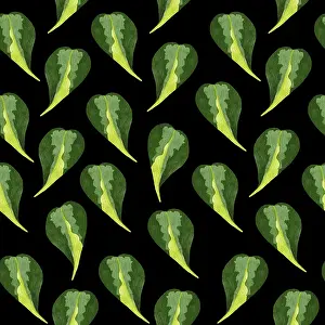 Indoor Leafy Plant Design Drucke: Philodendron seamless pattern