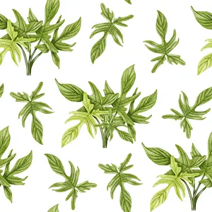 Decorative Indoor Leafy Plants Drucke: Philodendron seamless pattern