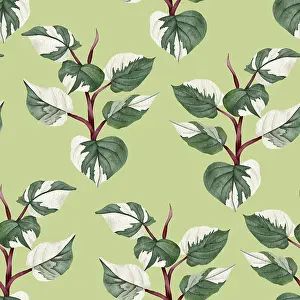 Topfpflanzen Drucke: Philodendron-Muster ohne Lücken