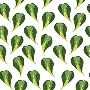 Bilder Datiert 9. Januar 2024: Philodendron seamless print