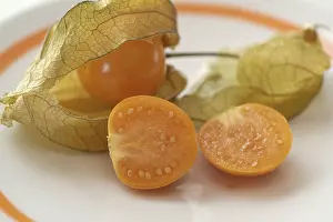 Physalis Fruit Drucke: Physalis