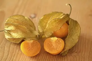 Physalis Fruit Drucke: Physalis