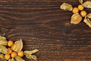 Agricultural Produce Drucke: Physalis background with copyspace
