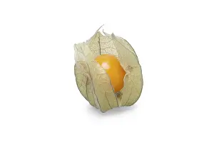 Fresh Produce Pictures Drucke: One physalis with shadow on white background
