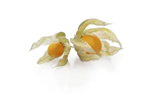 Fruit Photography Drucke: Two physalis with shadow on white background