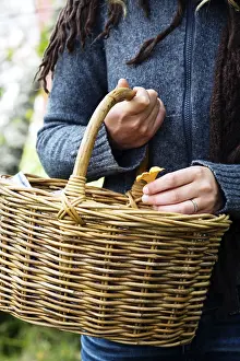 Autumnal Harvest Season Drucke: Picking chanterelles