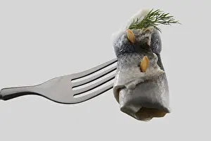 Foodstuff Grocery List Drucke: Pickled herring (Rollmops) on a fork