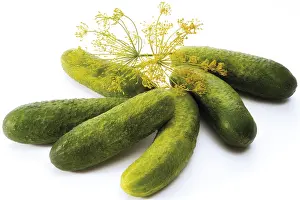 Vegetable Photography Studio Drucke: Pickles with dill blossoms