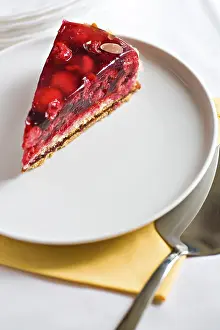 Sweet Treats Studio Shot Drucke: A piece of raspberry pie