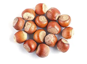 Pile Of Nuts Drucke: Pile of hazelnuts with shell isolated on white background