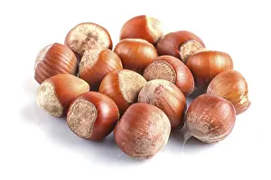 Healthy Eating Nuts Drucke: Pile of hazelnuts with shell isolated on white background