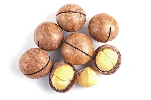 Macadamia Nuts Drucke: Pile of macadamia nuts with shell isolated on white background