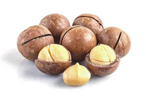 Macadamia Nuts Drucke: Pile of macadamia nuts with shell isolated on white background