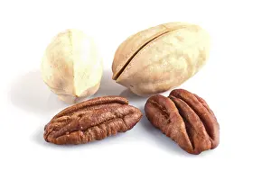Pecan Nuts Drucke: Pile of pecan nuts with shell isolated on white background