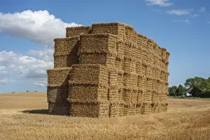 Agricultural Landscape Sweden Drucke: Pile of rectangular straw bales at Ystad
