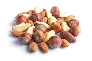 White Background Nuts Drucke: Piles of various nuts isolated on white background
