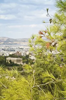 Temple Of Hephaestus Drucke: Pine branch and view of the temple of Hephaestus