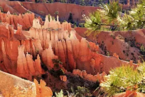 American Tourist Attraction Drucke: Pine trees frame the view of gently eroded rock faces bathed in light and shadow