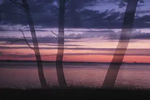 Bilder Datiert 7. Juli 2024: Tannenbäume am Lagunensee bei Sonnenuntergang.