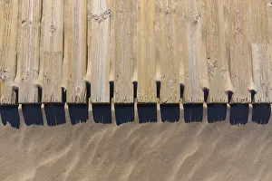 Close Up Tree Trunk Drucke: Pine wood deck weathered in beach sand pattern texture detail
