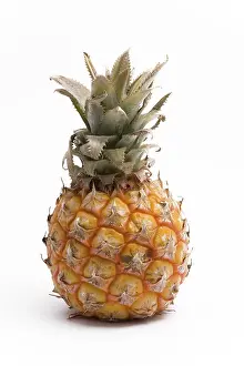 Exotic Fruit Images Drucke: Pineapple