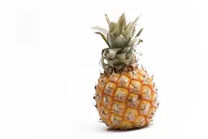 Fruit Vegetable Isolation Drucke: Pineapple