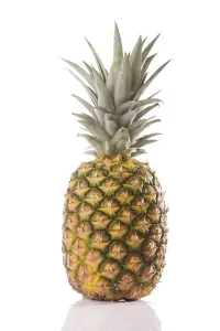 Fresh Fruit Grocery Drucke: Pineapple