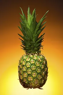 Studio Background For Food Photography Drucke: Pineapple