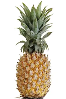 Studio Fruit Photography Drucke: Pineapple (Ananas comosus)