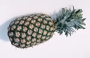 Grocery Store Produce Drucke: Pineapple fruit (Ananas comosus)