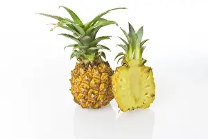 Studio Food Shots Drucke: Two Pineapples (Ananas comosus), one cut in half
