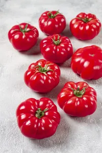 Gourmet Meal Ingredients Drucke: Pink tomatoes scattered on the table