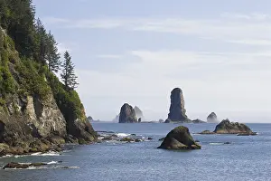 Rocky Shoreline USA Drucke: Pinnacles on the coast at La Push