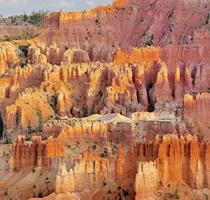 US National Parks Scenic Beauty Drucke: Pinnacles in the evening light