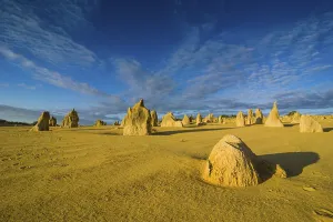 Nambung National Park Drucke: The Pinnacles limestone formations