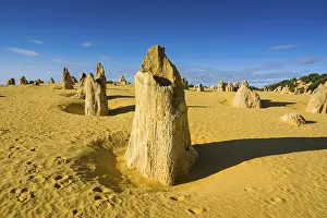 Australian Desert Landscape Photography Drucke: The Pinnacles limestone formations