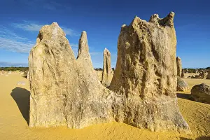 Western Australian Desert Landscape Drucke: The Pinnacles limestone formations