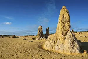 Australian Desert Landscape Photography Drucke: The Pinnacles limestone formations