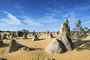 Western Australian Desert Landscape Drucke: The Pinnacles limestone formations