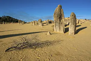 Western Australia Limestone Formations Drucke: The Pinnacles limestone formations