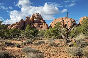 The Needles District Canyonlands Drucke: Pinnacles, rock formations The Needles District