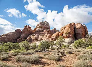 The Needles District Canyonlands Drucke: Pinnacles, rock formations The Needles District