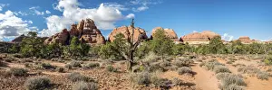 US American Desert Landscape Drucke: Pinnacles, rock formations The Needles District