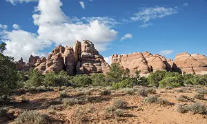 American National Park Scenery Drucke: Pinnacles, rock formations The Needles District