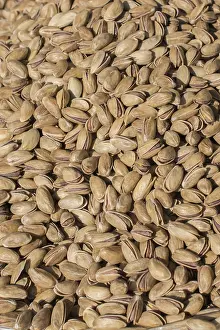 Sapindaceae Plant Drucke: Pistachio nuts with shell ready to eat
