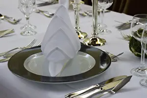 Glassware Collection Drucke: Place cover