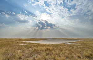 Cloudy Skies Photography Drucke: Plain with dry yellow grass, dramatic clouds with sunbeams