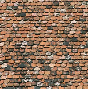 Empty Building Exterior Drucke: Plain tile