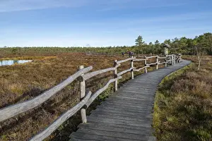 Nature Conservation Area Europe Drucke: Plank path through the Black Moor