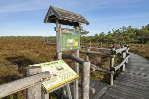 Deserted Swamp Landscape Photo Drucke: Plank path through the Black Moor